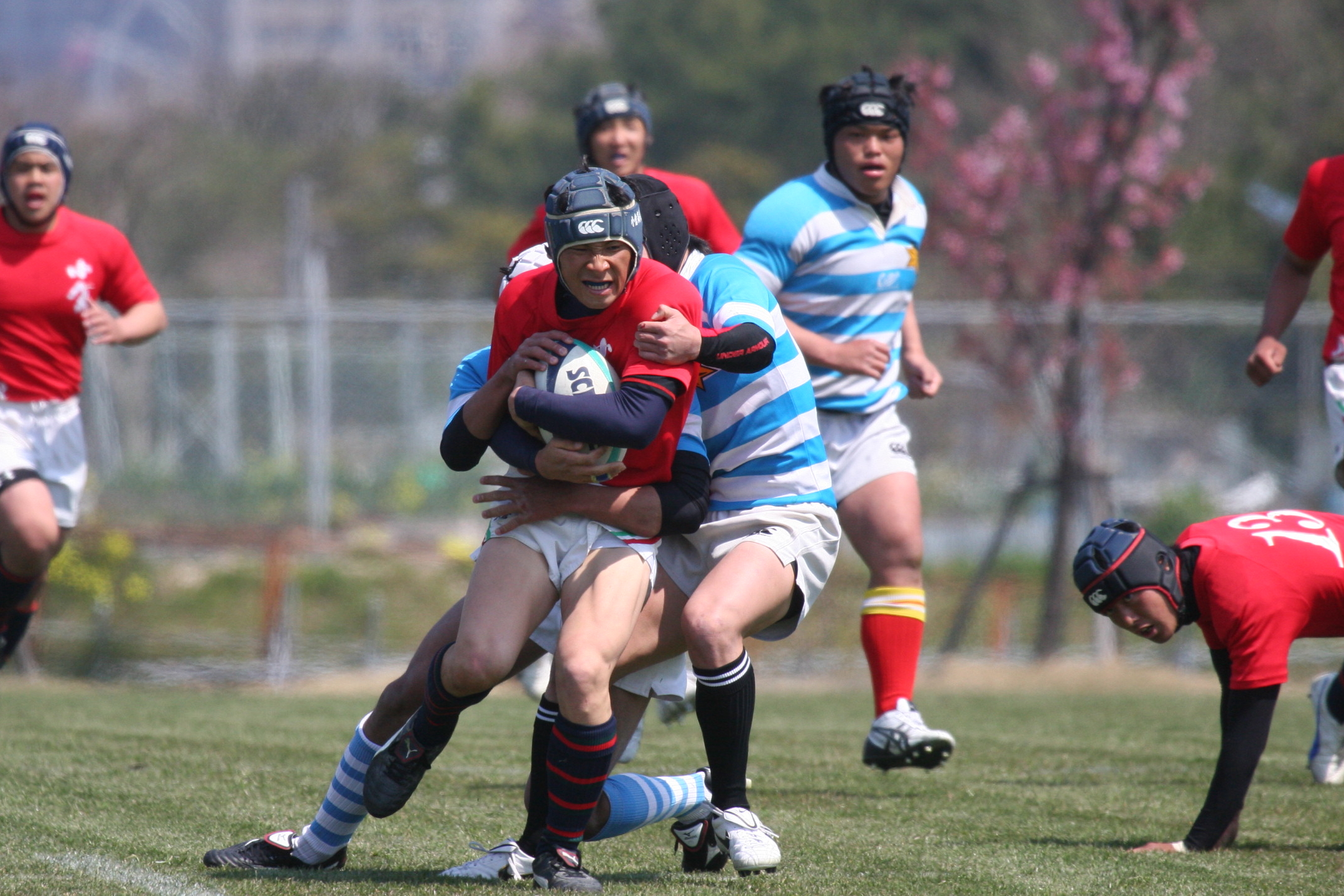http://kokura-rugby.sakura.ne.jp/2011.3.30-5.jpg